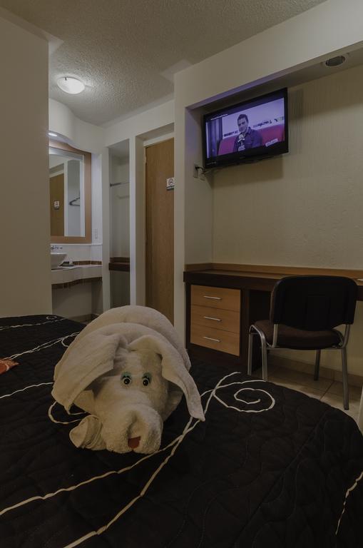 Hotel Petit Tehuacán Pokój zdjęcie