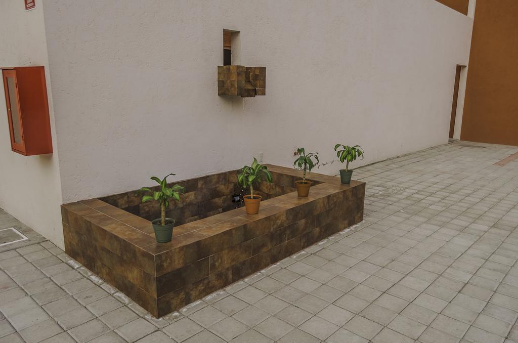 Hotel Petit Tehuacán Zewnętrze zdjęcie
